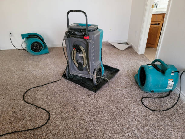 Best 24-hour water damage restoration  in East Foothills, CA