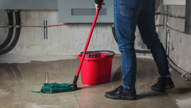 Best Residential water damage restoration  in East Foothills, CA