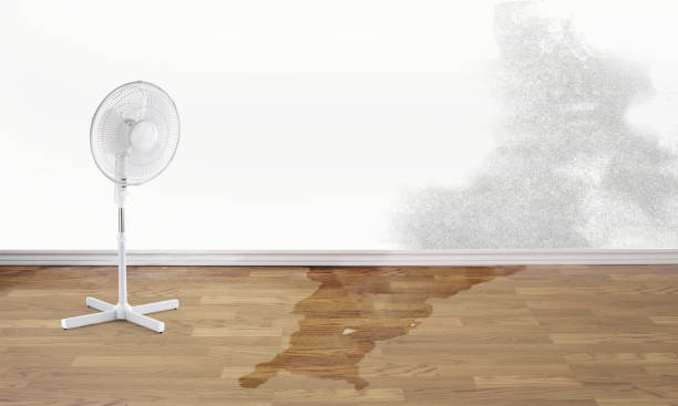 Water damage restoration experts in East Foothills, CA