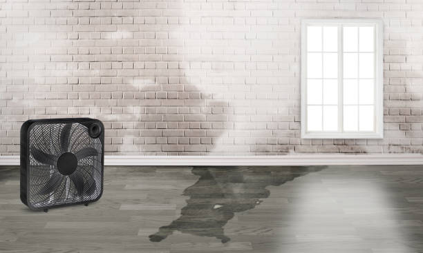 Professional Water damage restoration in East Foothills, CA