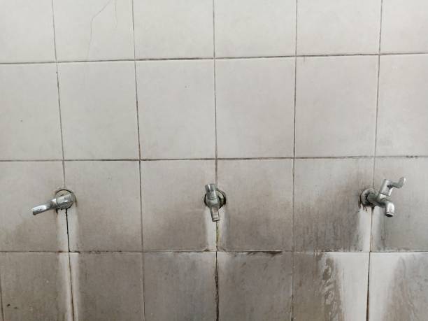 Best Fire Damage Restoration  in East Foothills, CA
