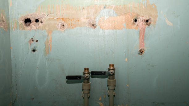 Best Flood restoration services  in East Foothills, CA