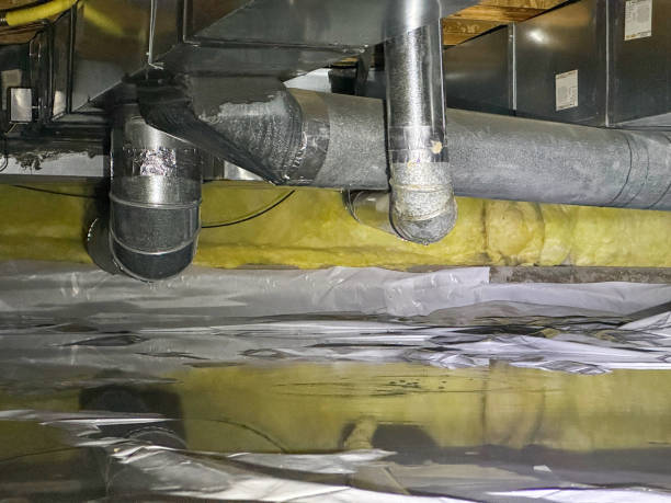 Best Local water damage restoration  in East Foothills, CA