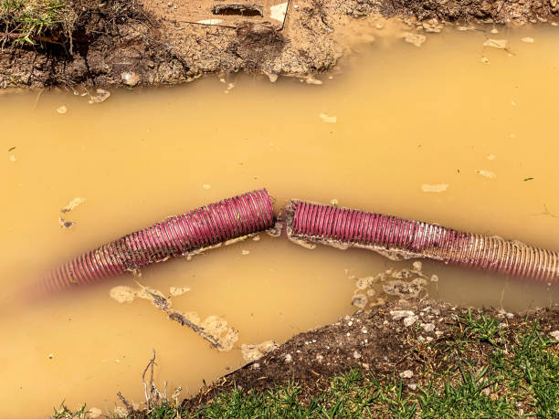 Best Water damage mitigation services  in East Foothills, CA