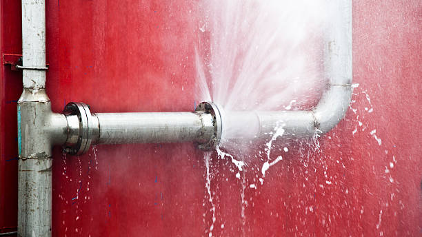 Best Basement water damage restoration  in East Foothills, CA